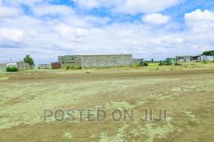 Murera at at 1.3M^Me - thumbnail 2