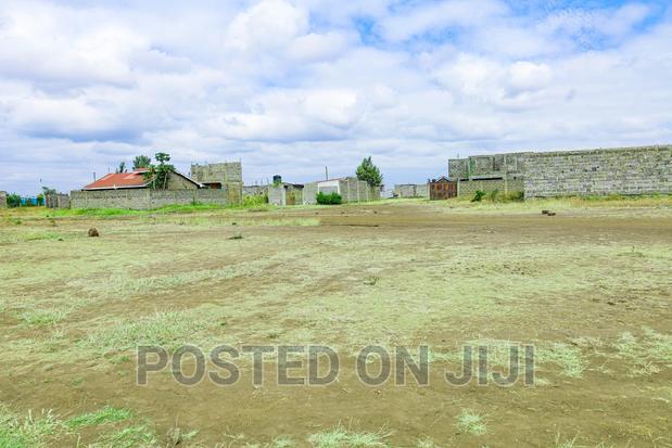 Murera at at 1.3M^Me - thumbnail 3