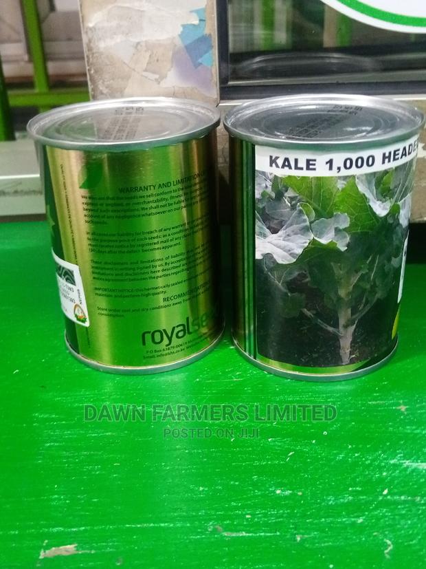 Kale 1000 Headed 50gms - thumbnail 3