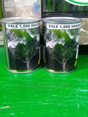Kale 1000 Headed 50gms