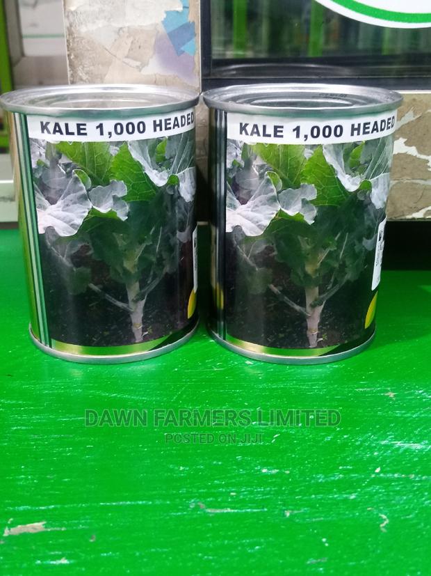 Kale 1000 Headed 50gms