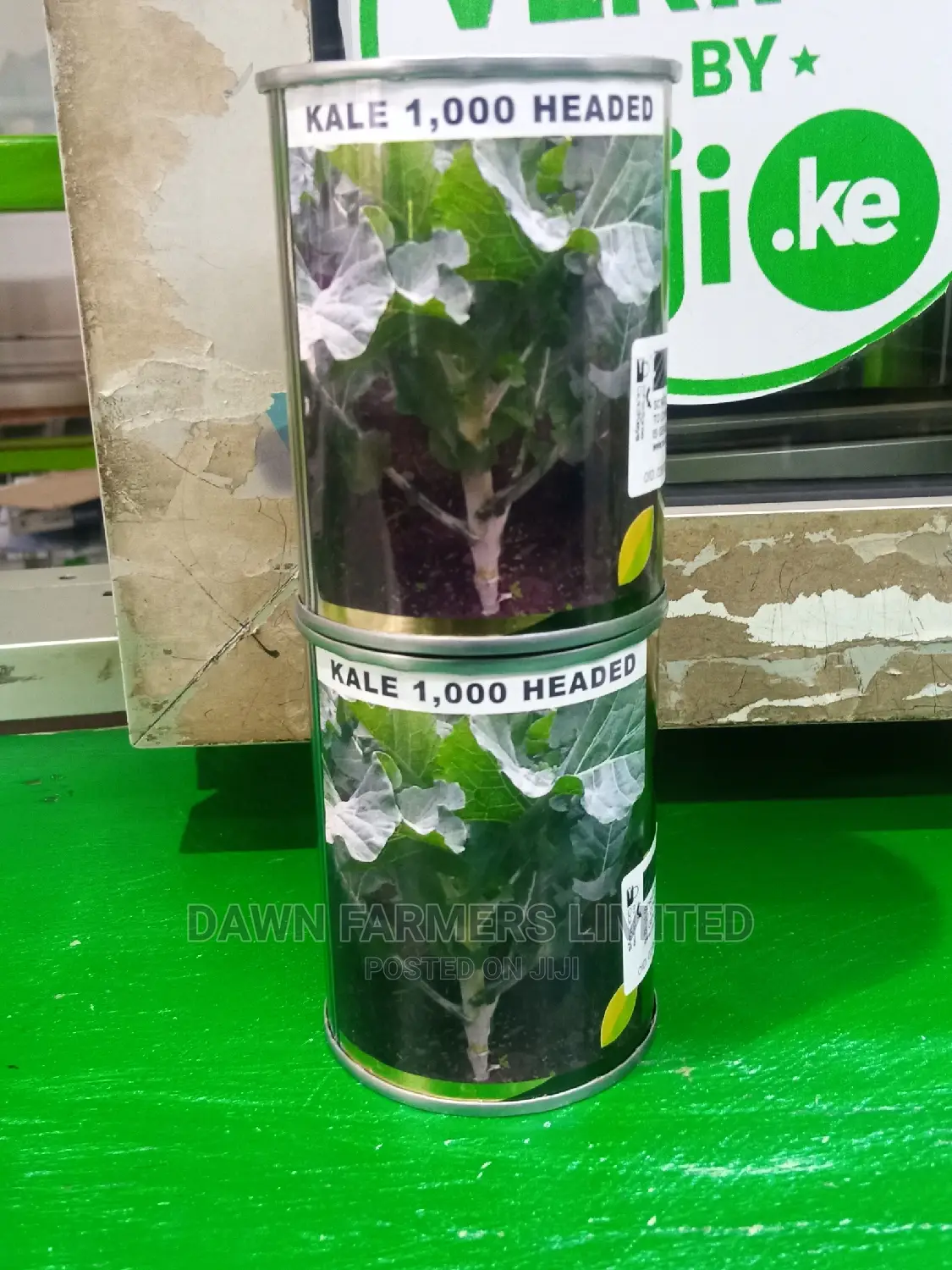 Kale 1000 Headed 50gms