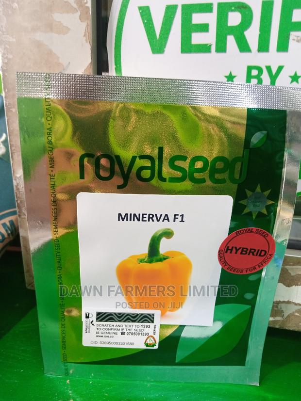 Yellow Pepper Minerva F1 100 Seed