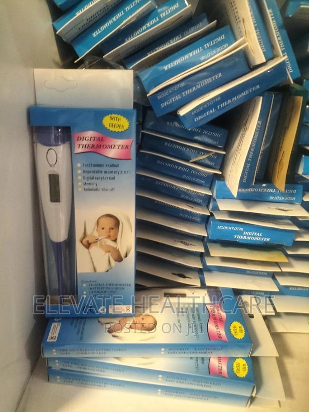 Digital Thermometer - main view