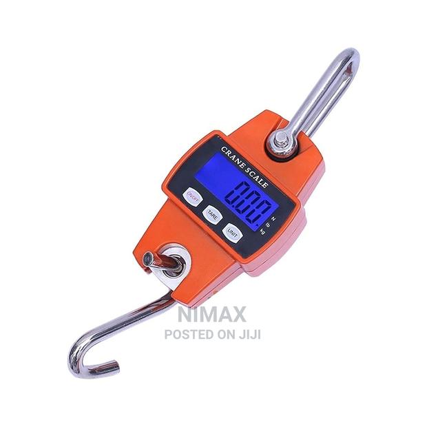 Crane Scales Weight 300 Kg - main view