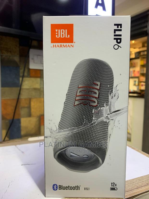 JBL Flip 6 - Gray - main view