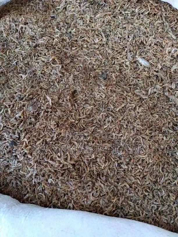 Ochonga ( High Protein ) Grade 1 Sand Free 10kg Bag