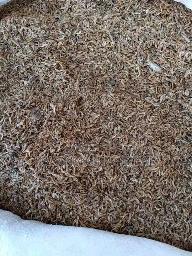 Ochonga ( High Protein ) Grade 1 Sand Free 10kg Bag
