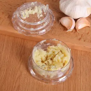 Home Garlic Masher Manual Garlic Grater Mini Press Cutter