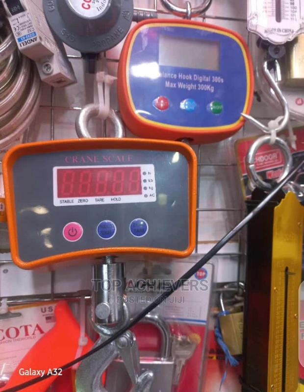 Accurate Digital Hanging Scale - main view