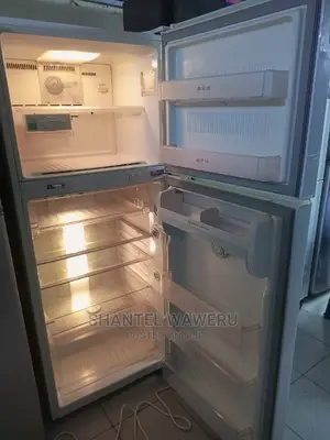 Lg Double Door Fridge 422 Litres Frost Free