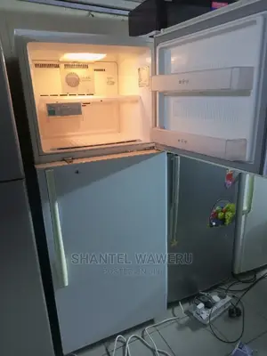 Lg Double Door Fridge 422 Litres Frost Free