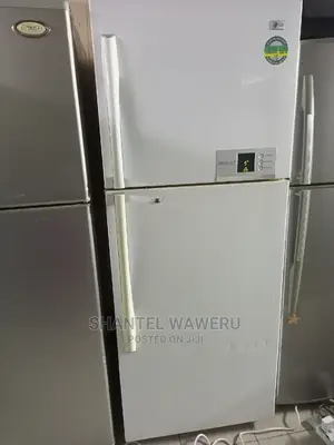 Lg Double Door Fridge 422 Litres Frost Free