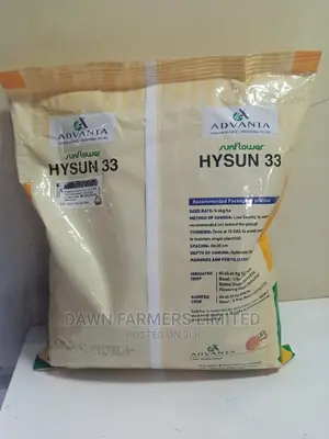 Sunflower Hysun 33 1kg