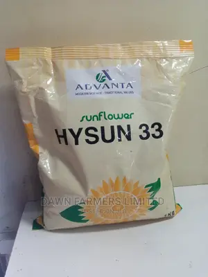 Sunflower Hysun 33 1kg