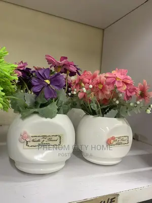 Decor Flowers With Ceramic Plants