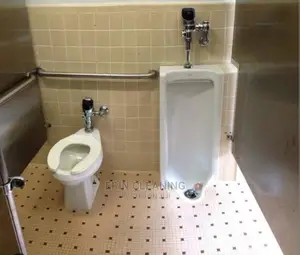 Toilet Smell Removing