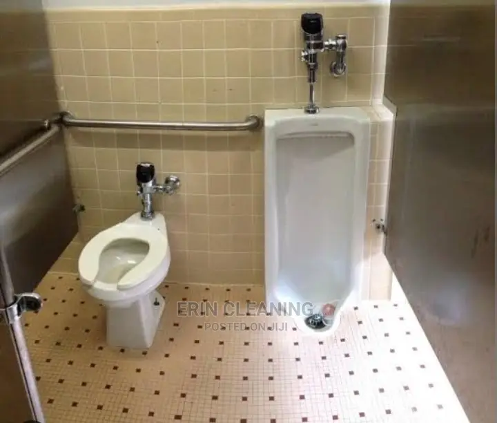 Toilet Smell Removing