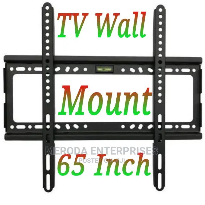 65 Inch TV Panel Wall Bracket Holder Protector