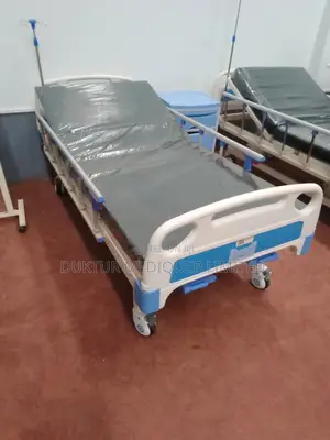 Two/Double Crank Manual Hospital Bed With Macintosh Mattress