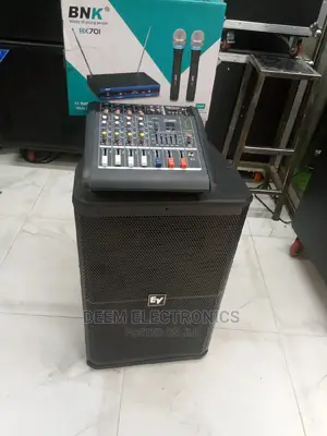 Wireless Microphone With 4channel Mixer and Speaker 15"