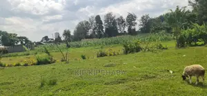 Touching Highway Plots for Sale in Langas Poly in Eldoret
