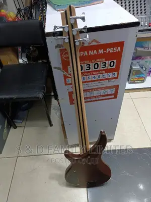 5 String Active Guitar