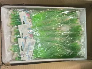 Light Green Plastic Aquarium Plants