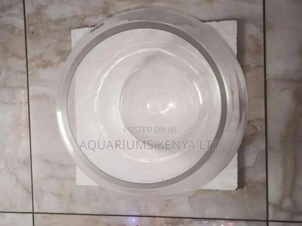 2litres Fish Bowl - main view