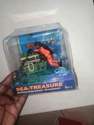 Treasure Hunt , Aquarium Decoration