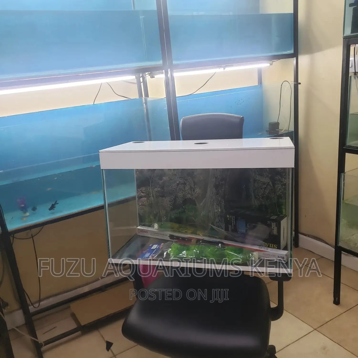 50litres Aquarium
