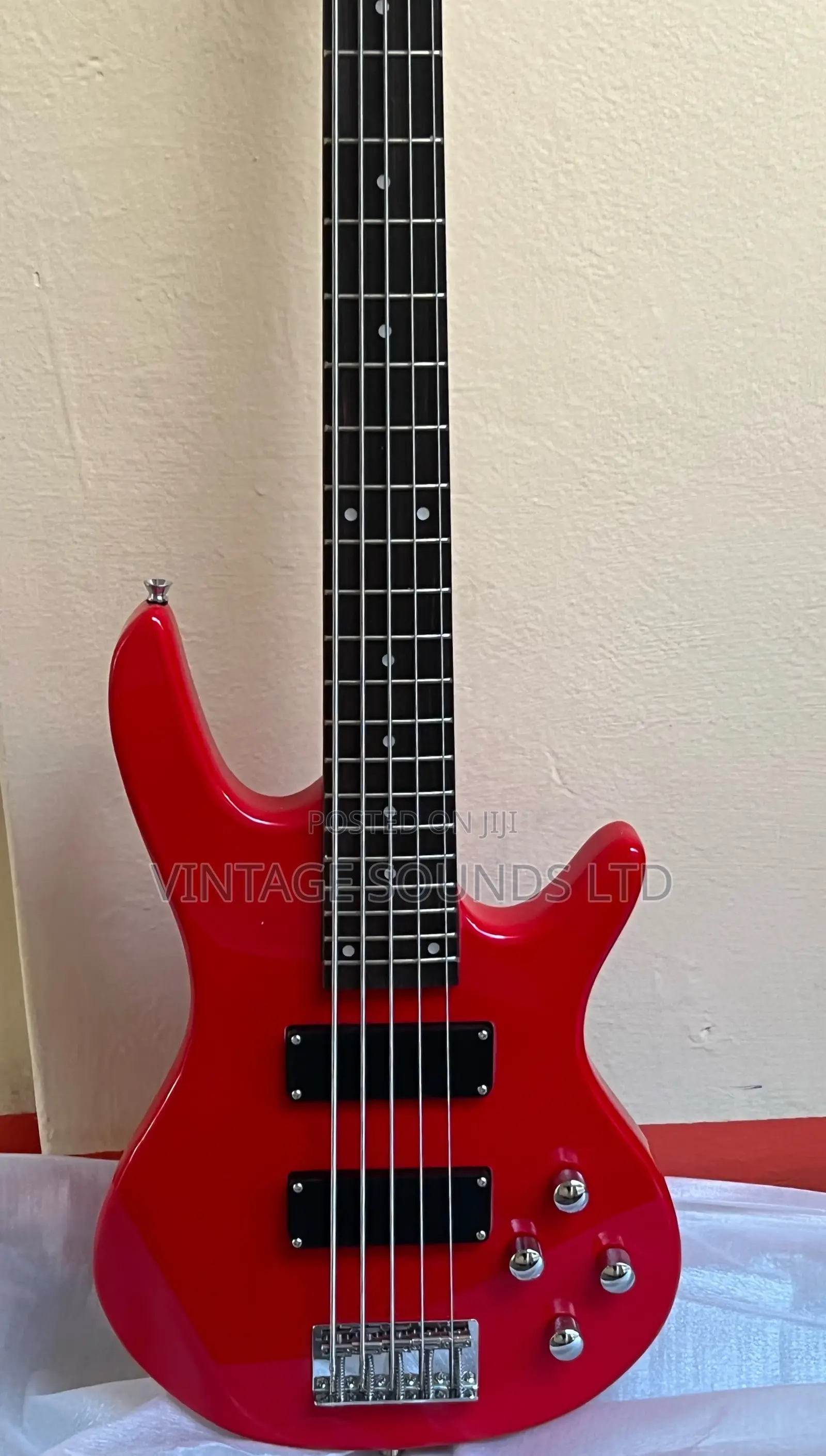 Ibanez GSR201 GIO Series 5-String Electric Bass Guitar 24F