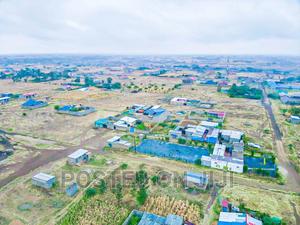 Murera Court Prime Plots^EK - thumbnail 2