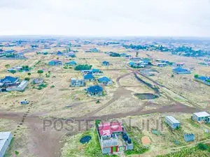 Buy and Build Immediately, Murera^EK