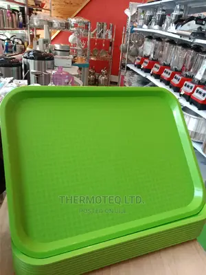 Quality Imported Premium Serving Trays/Non Breakable