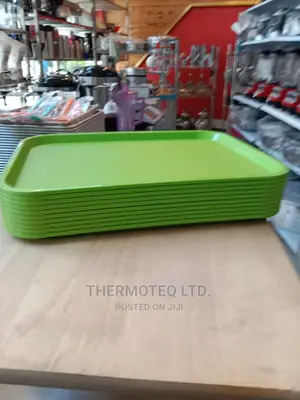 Quality Imported Premium Serving Trays/Non Breakable