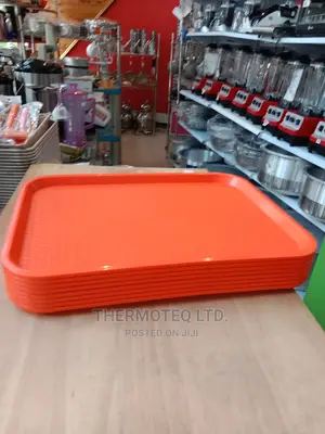 Trays/Serving Trays/Imported Heat Resistant Trays/Hotel Tray