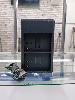 Dual Smart Charger for Panasonic Blk22 Battery