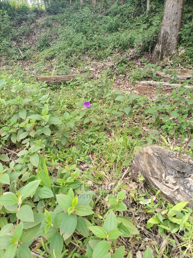 Karatina Prime Plots - main view