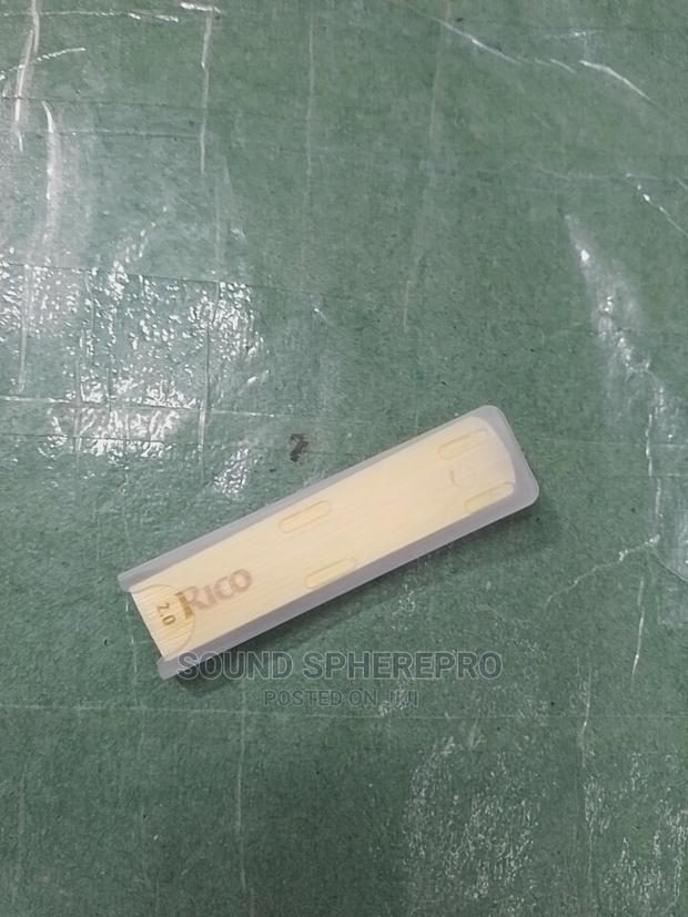 Rico 2.0 Alto-Saxaphone Reed - main view