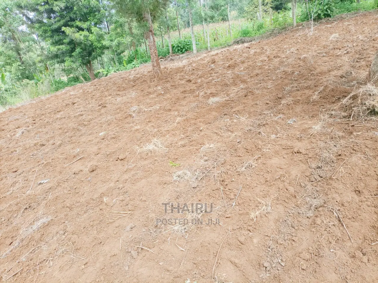 Karatina Prime Plots