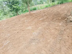 Karatina Prime Plots