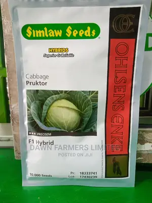 Cabbage Pruktor F1 Hybrid,10000 Seeds