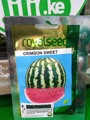 Watermelon, Crimson Sweet 25gms - main view