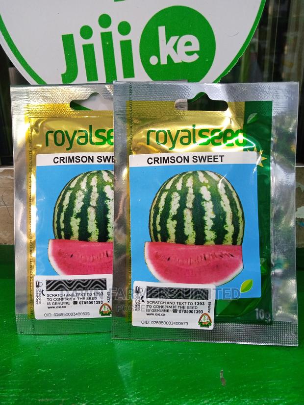 Watermelon, Crimson Sweet 25gms - thumbnail 2