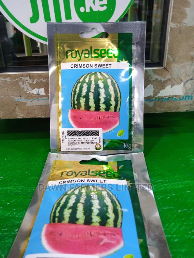 Watermelon, Crimson Sweet 25gms - thumbnail 3