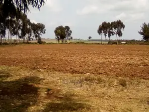 41 Acres of Land for Sale in Timau