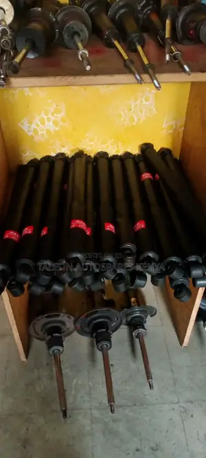 Probox,Porte Shocks