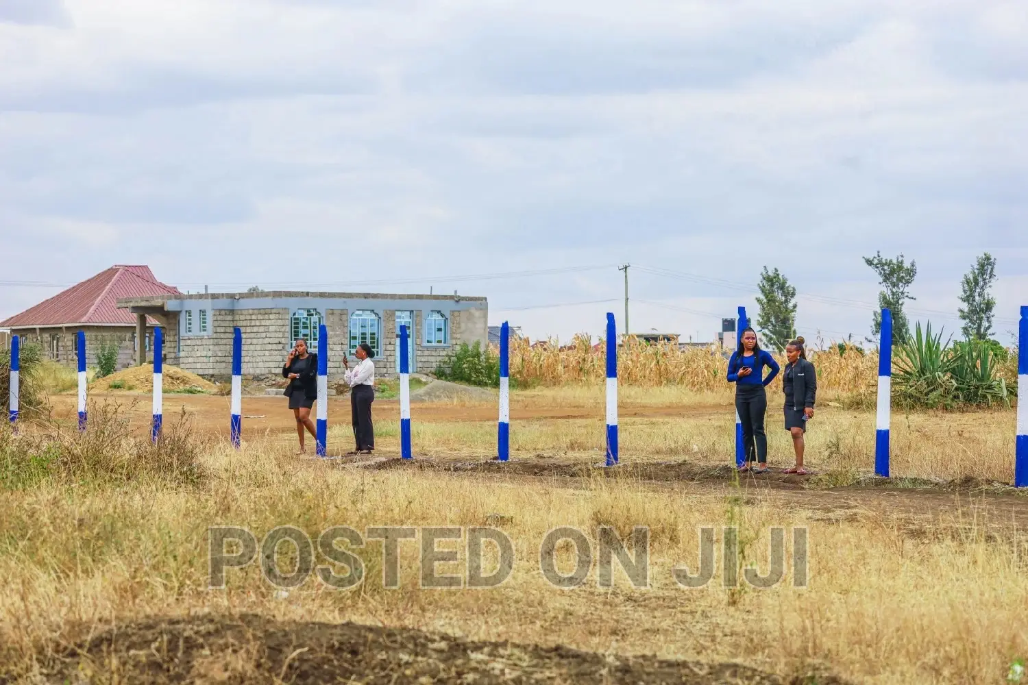 Plots in Murera^JO