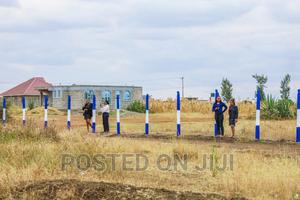 Plots in Murera^JO - thumbnail 2